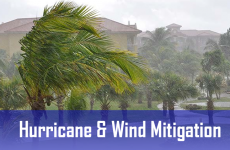 Wind Mitigation